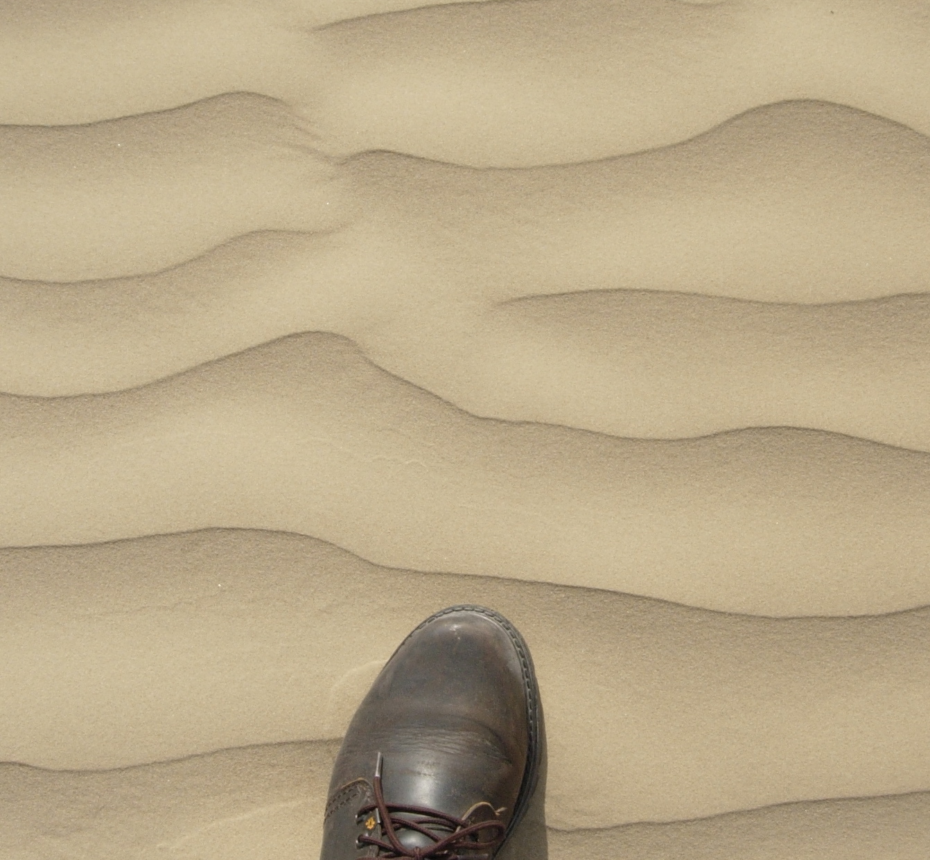 Dubai 2006
