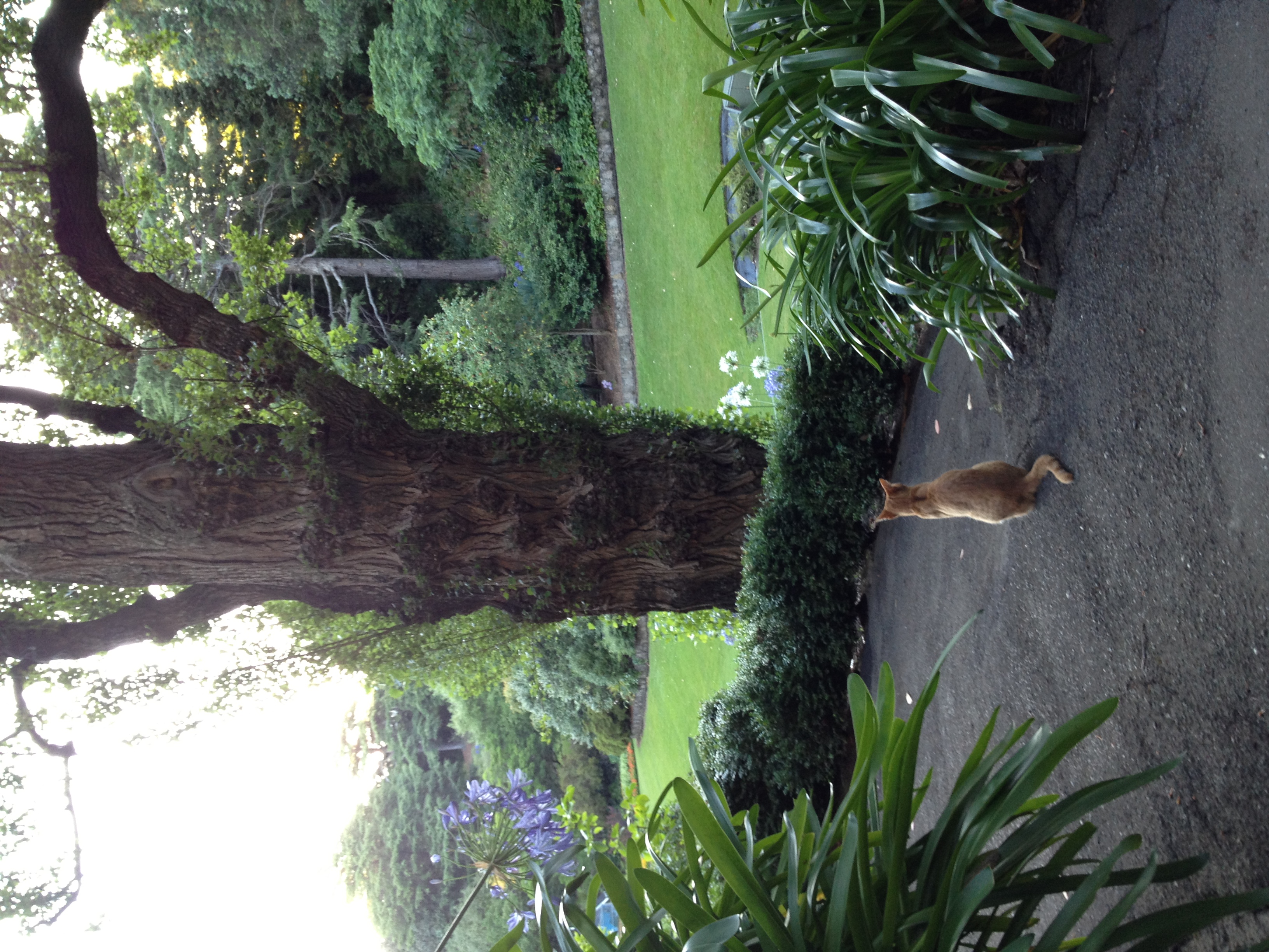 New Zealand 2011