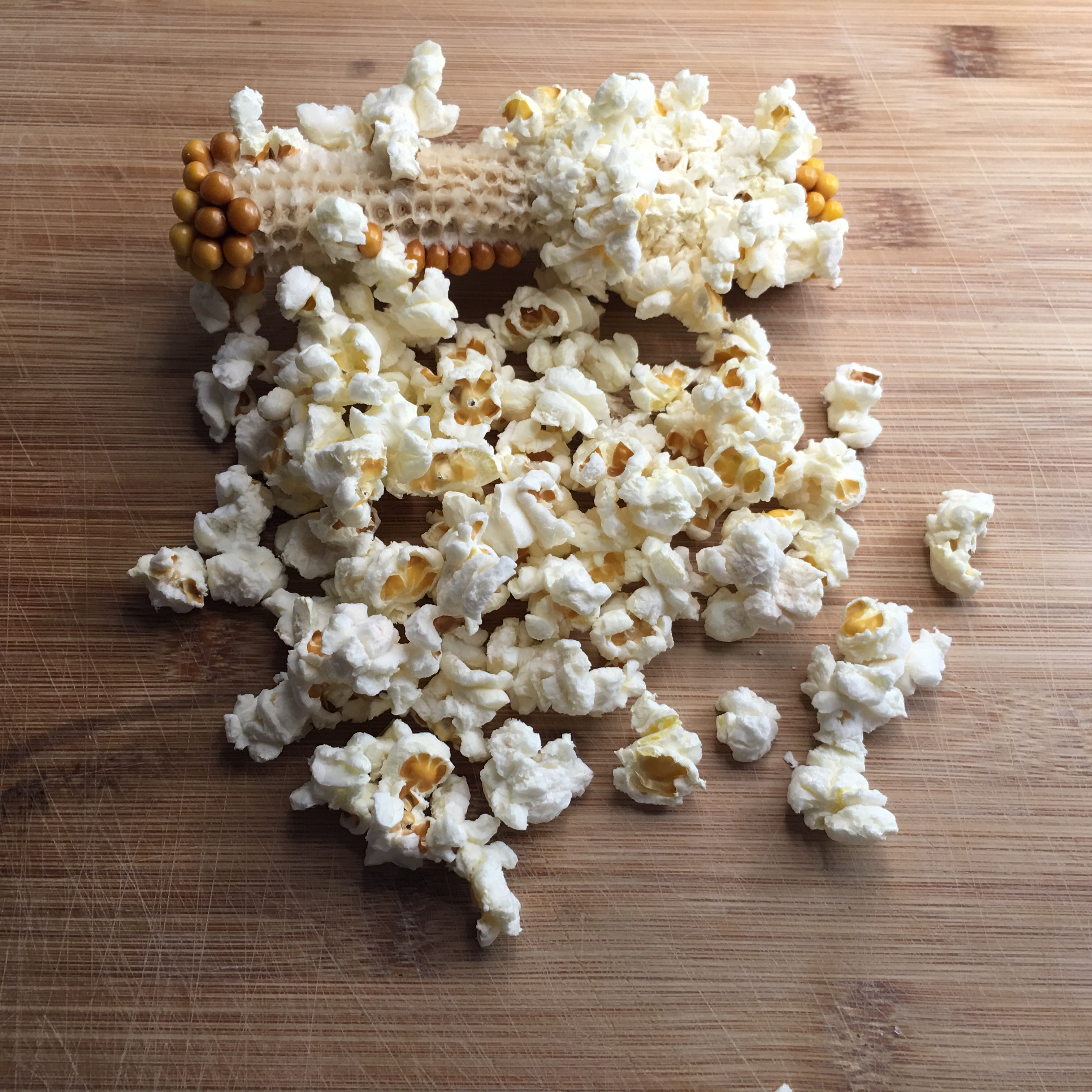 Corn