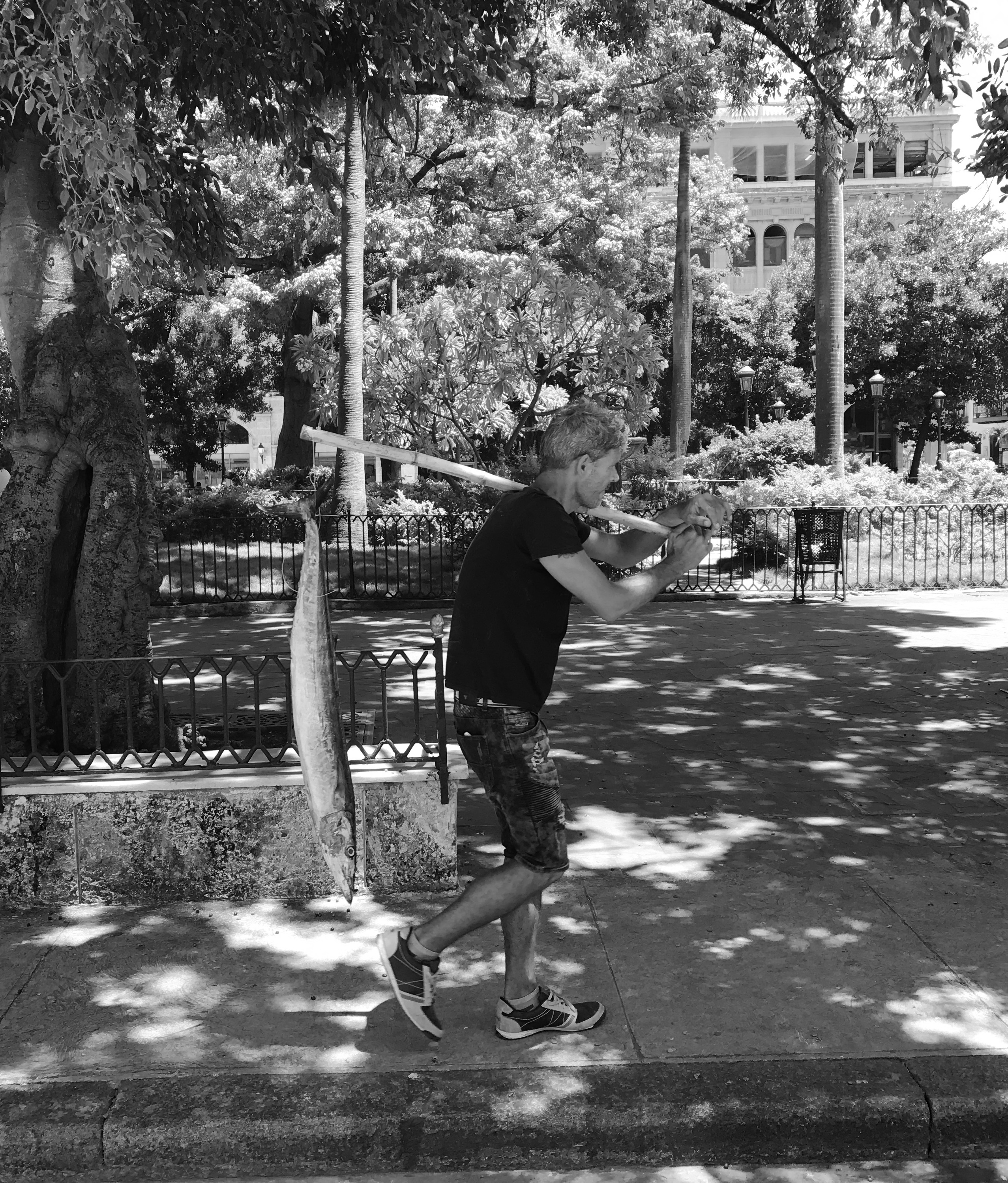 Cuba 2015